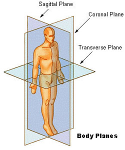 Illustration of the sagittal, coronal, and transverse planes of the human body